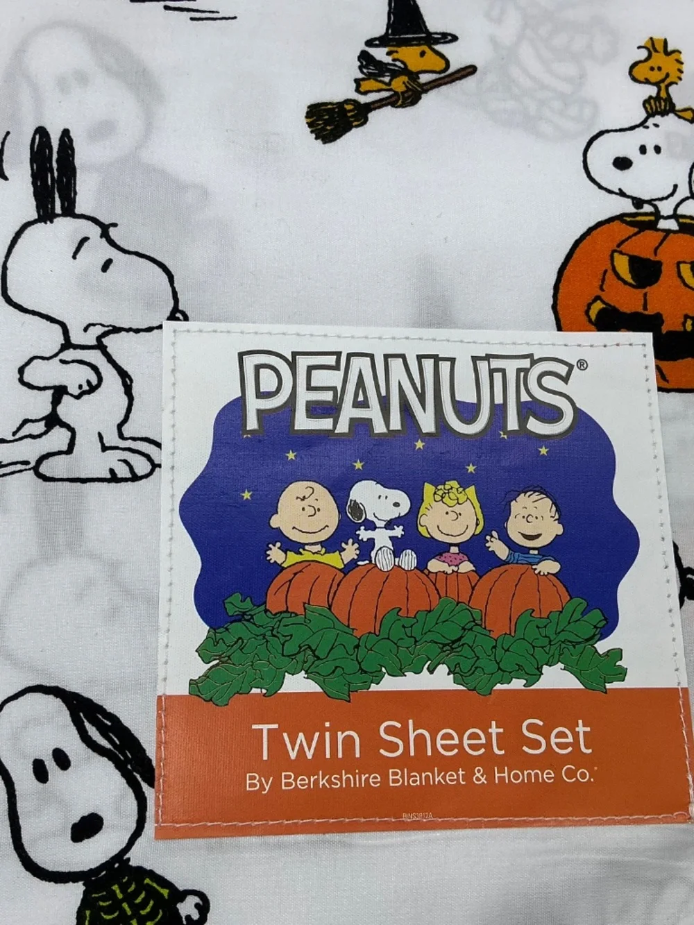 Peanuts Snoopy Halloween Twin Sheet Set